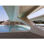 Zdjęcia użytkowników Motorola One Vision Dual SIM