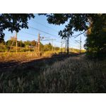 Zdjęcia użytkowników Motorola One Zoom