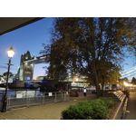 Zdjęcia użytkowników Motorola One Zoom