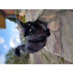 Zdjęcia użytkowników Motorola One Zoom