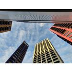 Zdjęcia użytkowników Motorola One Zoom