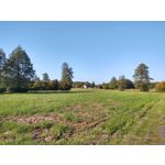 Zdjęcia użytkowników Motorola One Zoom