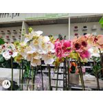 Zdjęcia użytkowników Motorola One Zoom