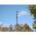 Zdjęcia użytkowników Motorola One Zoom