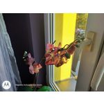 Zdjęcia użytkowników Motorola One Zoom