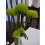 Zdjęcia użytkowników Motorola One Zoom