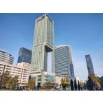 Zdjęcia użytkowników Motorola One Zoom