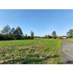 Zdjęcia użytkowników Motorola One Zoom