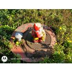 Zdjęcia użytkowników Motorola One Zoom