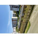 Zdjęcia użytkowników Motorola One Zoom