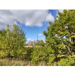 Zdjęcia użytkowników Motorola One Zoom