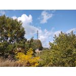 Zdjęcia użytkowników Motorola One Zoom