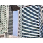 Zdjęcia użytkowników Motorola One Zoom