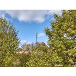 Zdjęcia użytkowników Motorola One Zoom