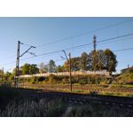 Zdjęcia użytkowników Motorola One Zoom