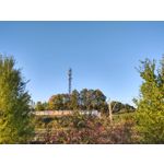 Zdjęcia użytkowników Motorola One Zoom