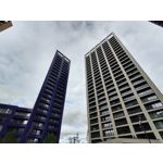 Zdjęcia użytkowników Motorola One Zoom