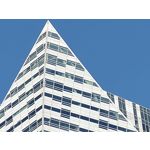 Zdjęcia użytkowników Motorola One Zoom