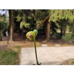 Zdjęcia użytkowników Motorola One Zoom