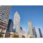 Zdjęcia użytkowników Motorola One Zoom