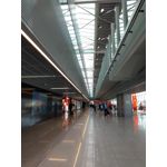 Zdjęcia użytkowników Motorola One