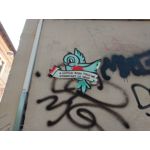 Zdjęcia użytkowników Motorola One