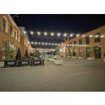 Zdjęcia użytkowników Motorola Razr 40 Ultra