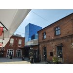 Zdjęcia użytkowników Motorola Razr 40 Ultra