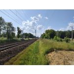 Zdjęcia użytkowników Motorola Razr 40 Ultra