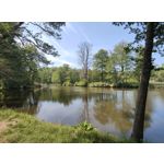 Zdjęcia użytkowników Motorola Razr 40 Ultra