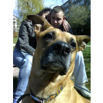 Zdjęcia użytkowników Motorola RAZR V3x