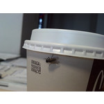 Zdjęcia użytkowników Motorola RAZR Zdjęcia użytkowników Motorola RAZR