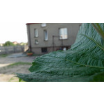 Zdjęcia użytkowników Motorola RAZR Zdjęcia użytkowników Motorola RAZR