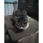 ZDJĘCIA Z TEGO TELEFONU