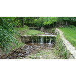 ZDJĘCIA Z TEGO TELEFONU