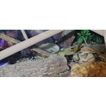 ZDJĘCIA Z TEGO TELEFONU