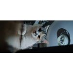 ZDJĘCIA Z TEGO TELEFONU