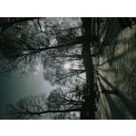 ZDJĘCIA Z TEGO TELEFONU