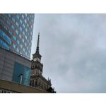 Zdjęcia użytkowników Motorola Edge 50 Neo