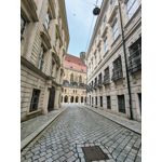 Zdjęcia użytkowników Motorola Edge 50 Neo