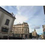 Zdjęcia użytkowników Motorola Edge 50 Neo