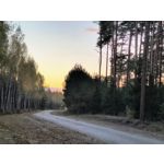 Zdjęcia użytkowników Motorola Edge 50 Neo
