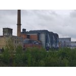 Zdjęcia użytkowników Motorola Edge 50 Pro