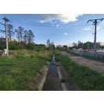 Zdjęcia użytkowników Motorola Edge 50 Pro