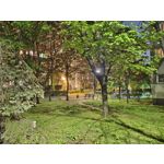 Zdjęcia użytkowników Motorola Edge 50 Pro