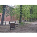 Zdjęcia użytkowników Motorola Edge 50 Pro