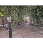 Zdjęcia użytkowników Motorola Edge 50 Pro