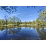 Zdjęcia użytkowników Motorola Edge 50 Pro