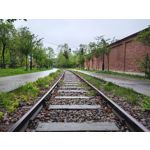 Zdjęcia użytkowników Motorola Edge 50 Pro