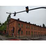 Zdjęcia użytkowników Motorola Edge 50 Pro